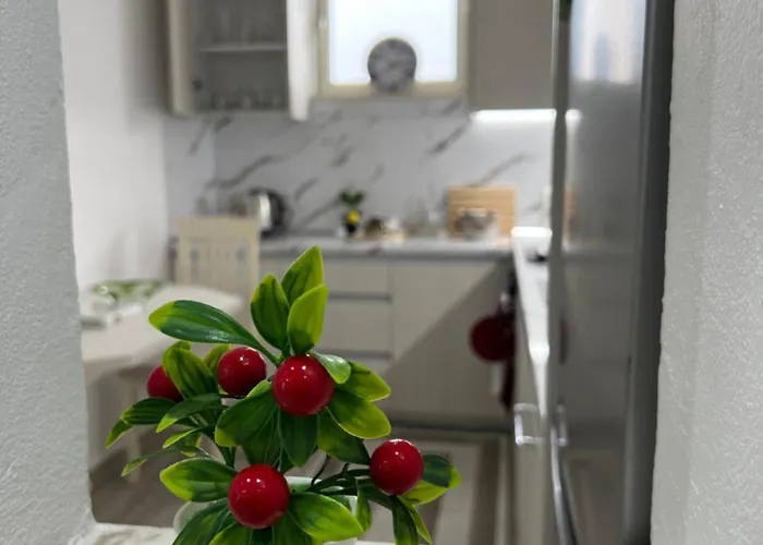 Lägenhet Ks Cozy In Center *